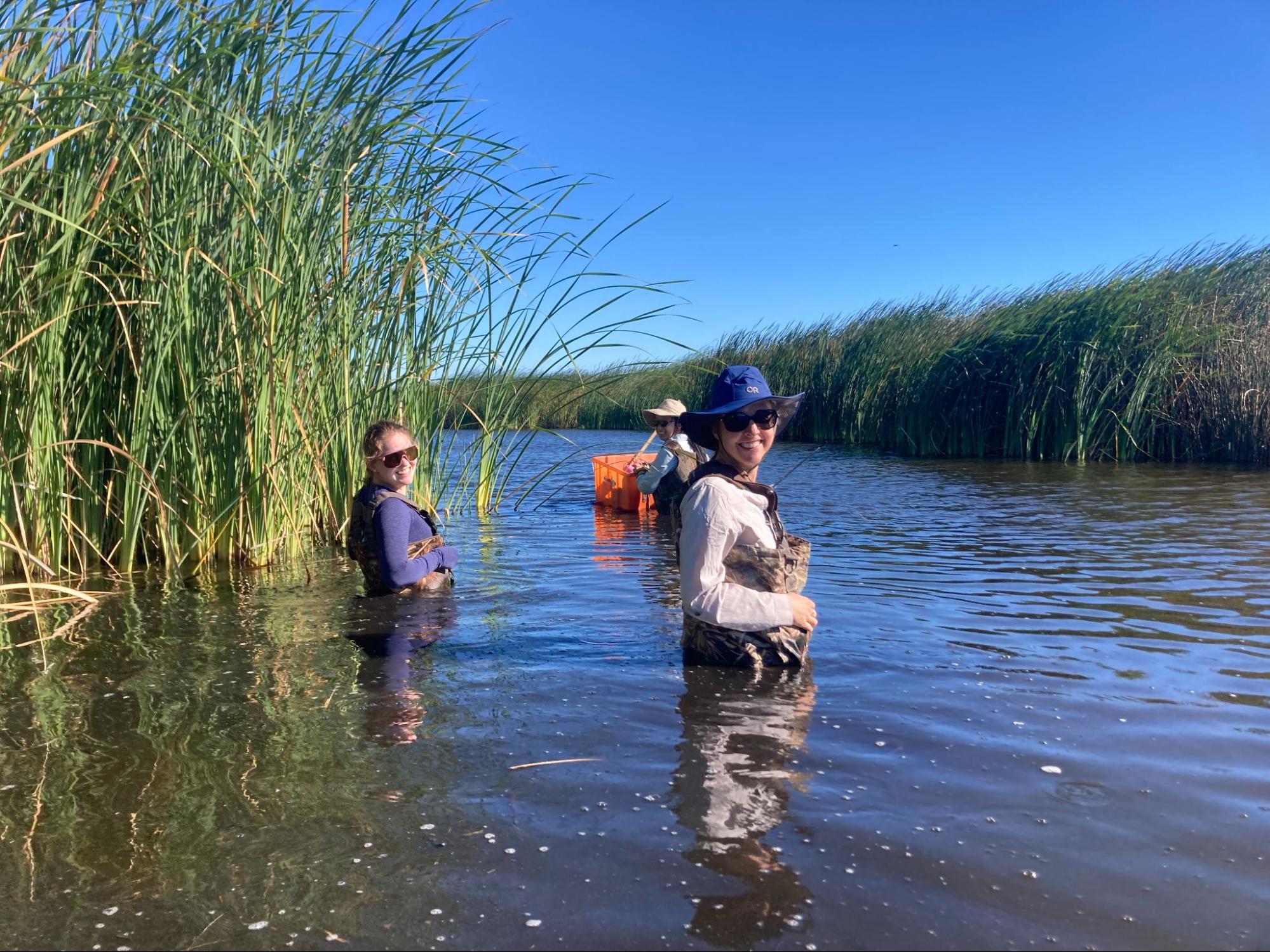 three people in wetlands
