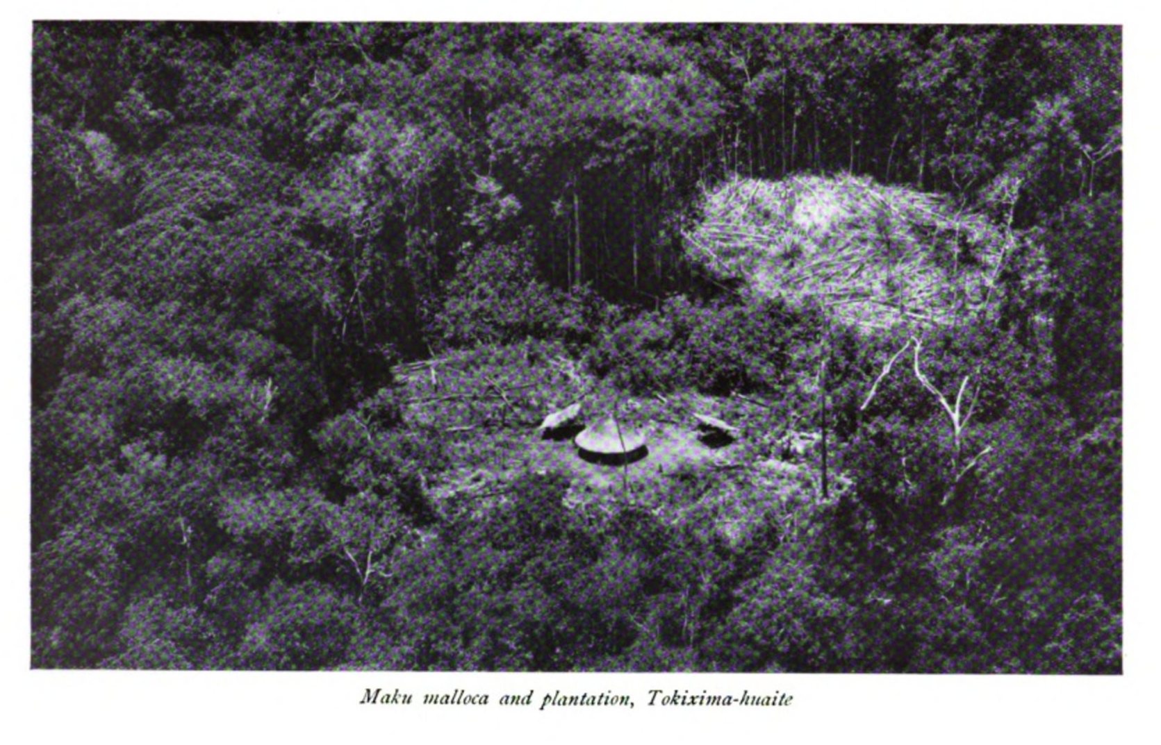 aerial photo with