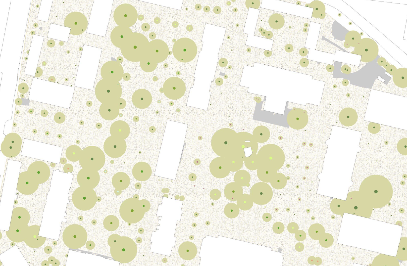 map of root structure in harvard yard