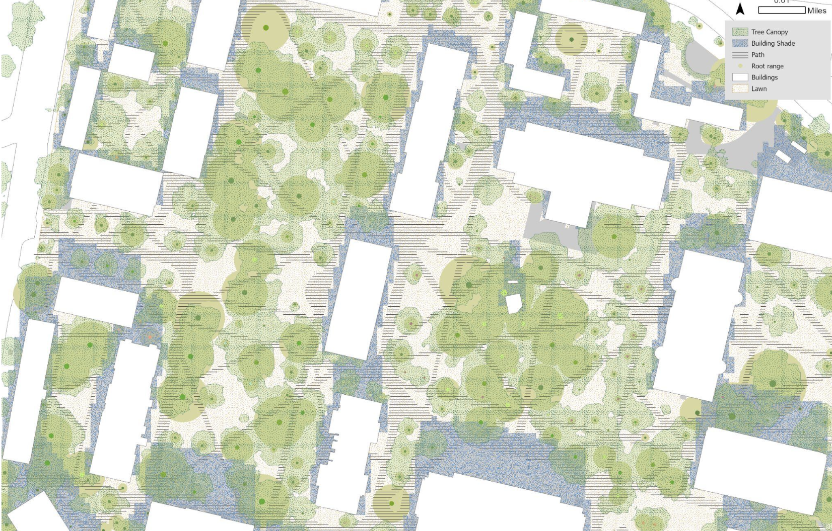map of combination of conditions in harvard yard