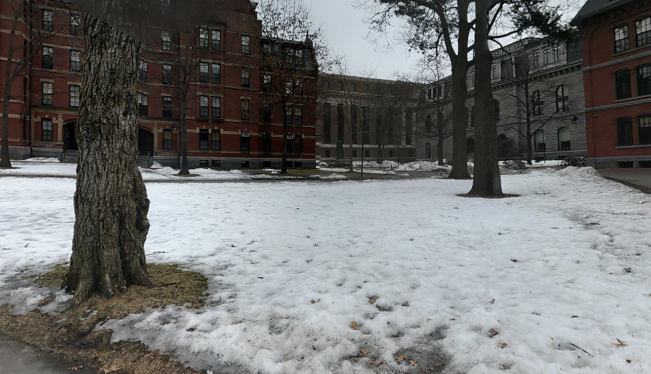 picture of snowy harvard yard